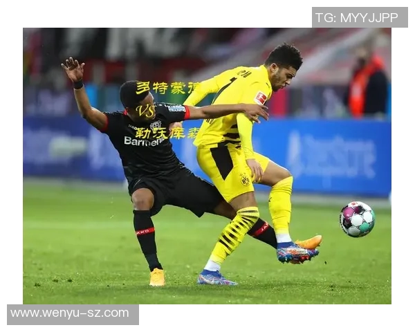 多特蒙德主场大胜，轻松击败勒沃库森