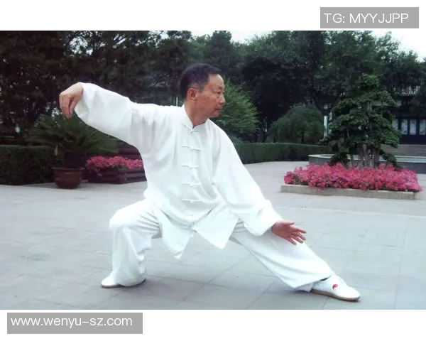 探索杨式太极拳的哲学内涵与实战技巧的完美结合之道 探索杨式太极拳的哲学内涵与实战技巧的完美结合之道